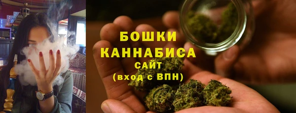 дмт Гусь-Хрустальный