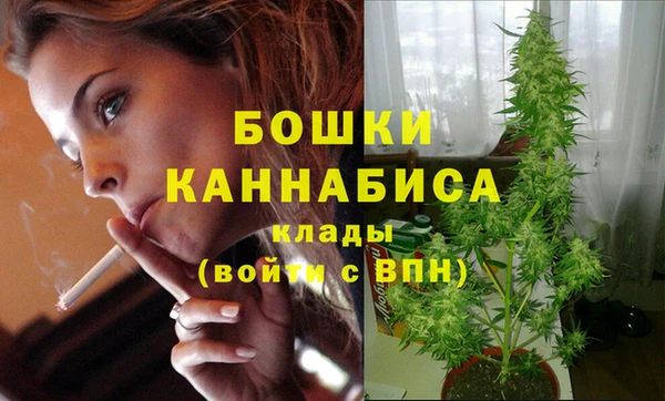 дмт Гусь-Хрустальный