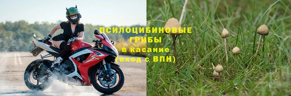 марки lsd Гусев
