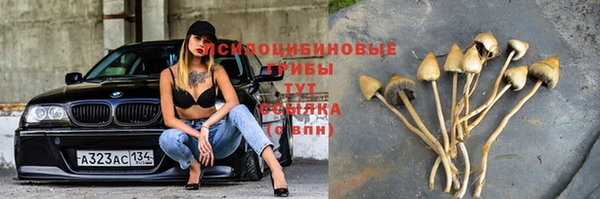 дмт Гусь-Хрустальный